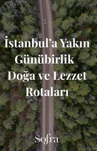 İstanbul'a Yakın Günübirlik Doğa ve Lezzet Rotaları