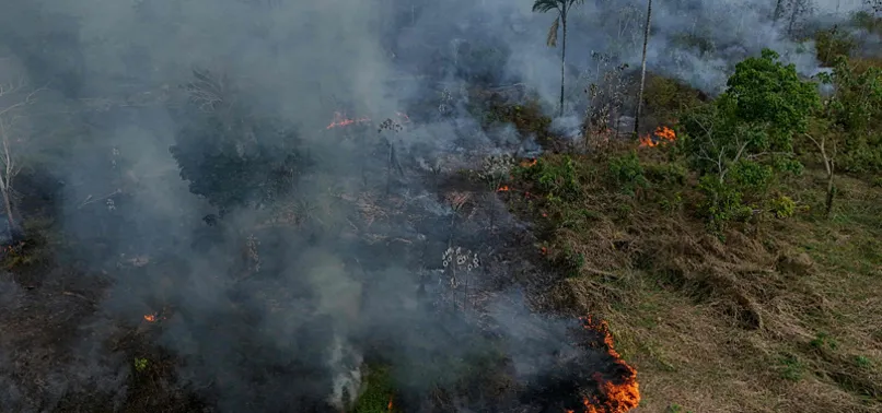 EL NINO COULD SIGNAL EXTREME AMAZON HEAT 7 MONTHS IN ADVANCE: STUDY
