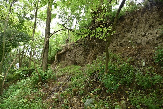 Mohaç Meydan Savaşı kiminle yapıldı?