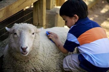 Kurban Bayramı tatili kaç gün, ne zaman başlıyor?