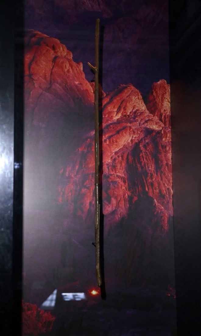 Посох моисея в стамбуле Посох моисея в стамбуле