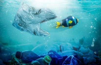 Plastikmiktarı5milyartonaulaştı