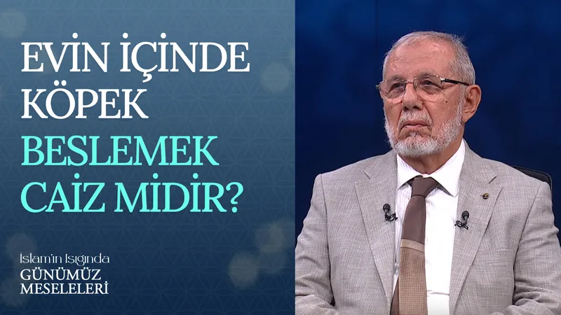 Evin İçinde Köpek Beslemek Caiz Midir?