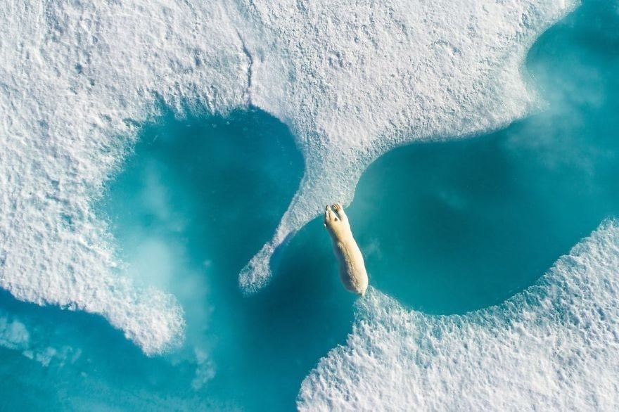 EN İYİ DRONE FOTOĞRAFLARI
