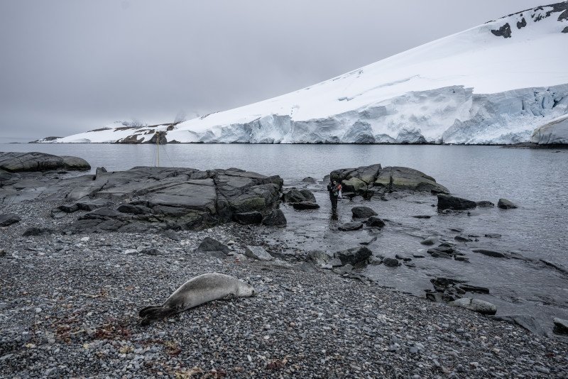 Antarctica becomes laboratory of Turkish scientists at South Pole