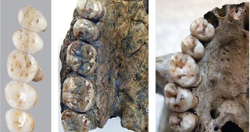 Previously unknown human species' fossils found on Philippine island