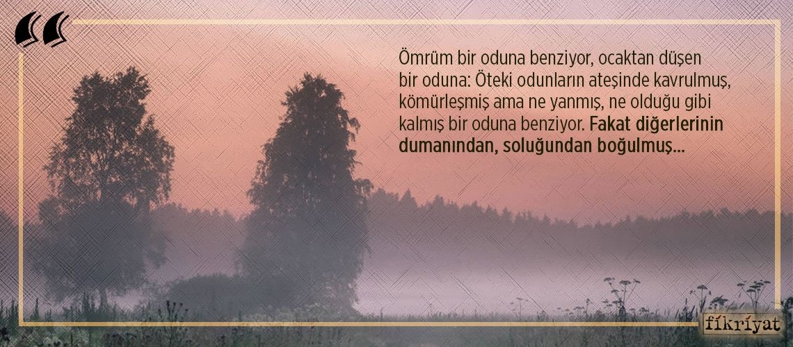 Bir sinfdoshi kokraklarini korsatdi. Bir sinfdoshi kokraklarini korsatdi.