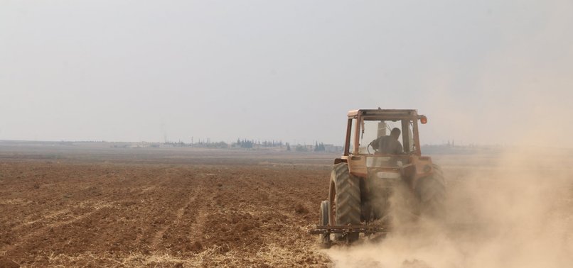 AGRICULTURE AT STANDSTILL IN SYRIA’S TAL ABYAD