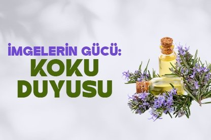 İmgelerin gücü: Koku duyusu