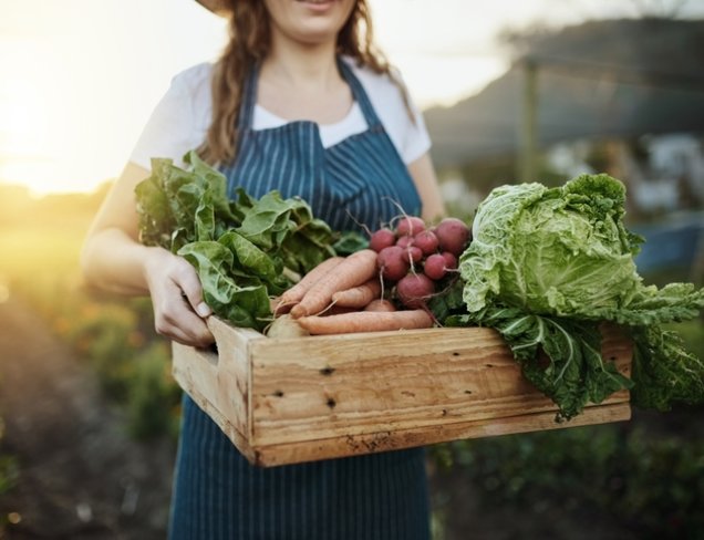 Sürdürülebilir Gastronomi: Çevre Dostu Mutfaklar
