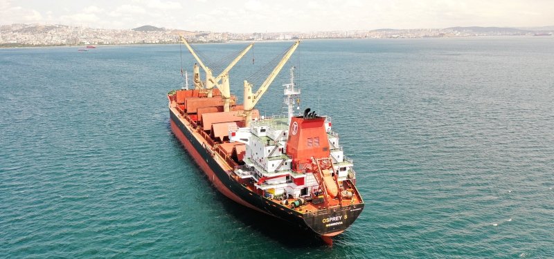 Ukraine expects first vessel to arrive to collect grain: official