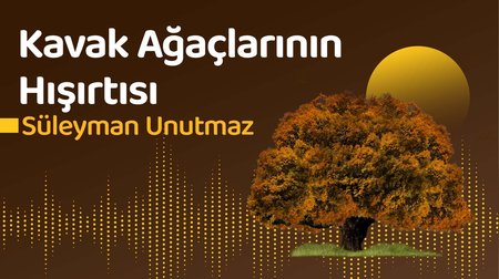 Kavak Ağaçlarının Hışırtısı