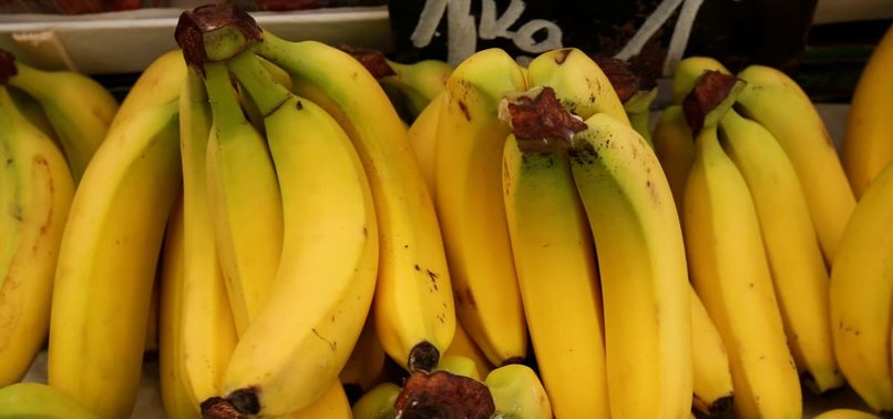 POLICE FIND $880 MILLION OF COCAINE STASHED IN BANANA CRATES