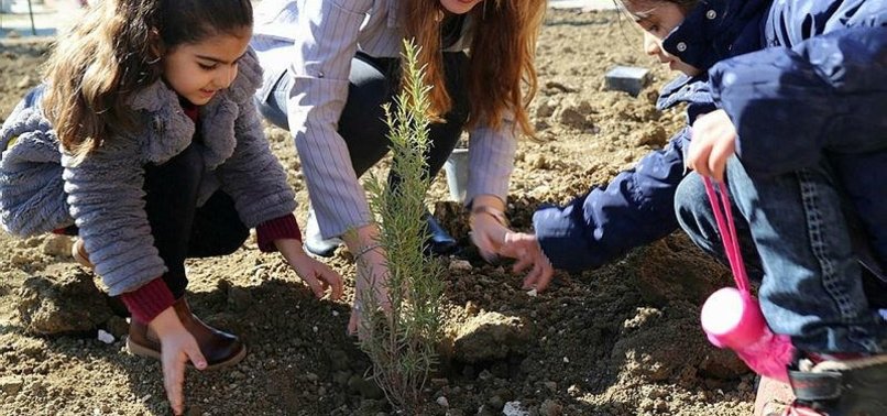 TURKEY VOWS TO PLANT 11M TREES, EYES NEW WORLD RECORDS
