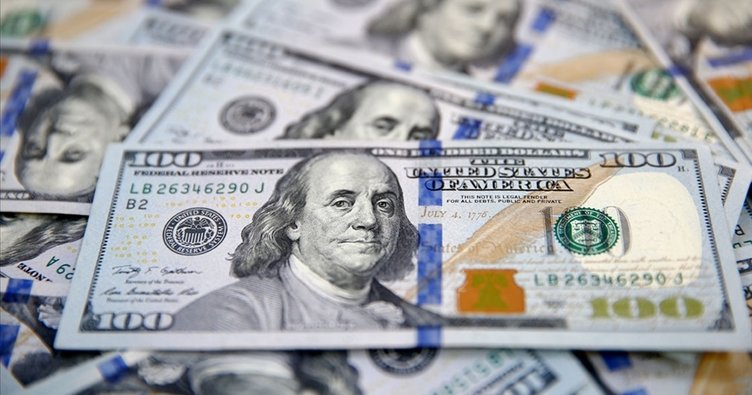 Reel efektif döviz kuru endeksi temmuzda 69,36 oldu