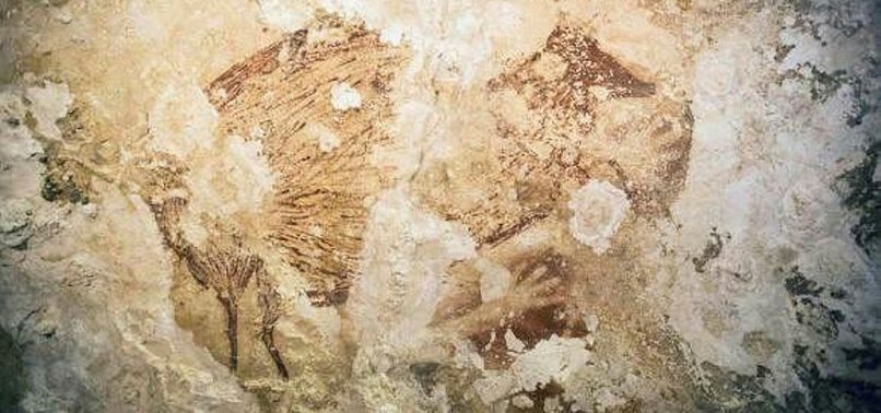 RARE ANCIENT CAVE PAINTINGS FOUND IN SOUTH-EASTERN FRANCE