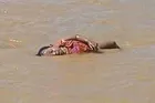 Arakanlı Aylan bebek Rohingya!