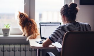 Sizi bu şekilde oltaya getiriyorlar