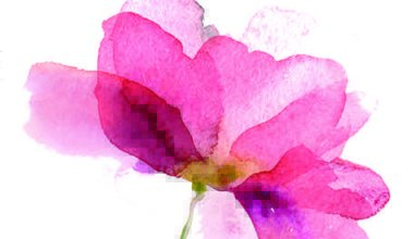 YENİ BİR SÜRECE BAŞLARKEN…