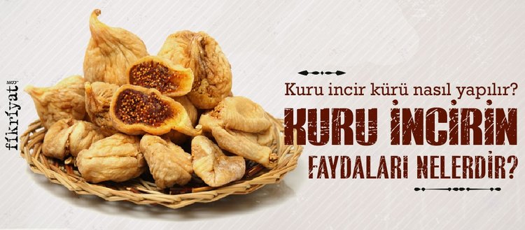 kuru incir neye iyi gelir kuru incirin faydalari nelerdir kuru incir kuru nasil yapilir fikriyat