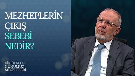 Mezheplerin Çıkış Sebebi Nedir?