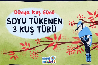 Mavimisket I Soyu tükenen 3 kuş türü