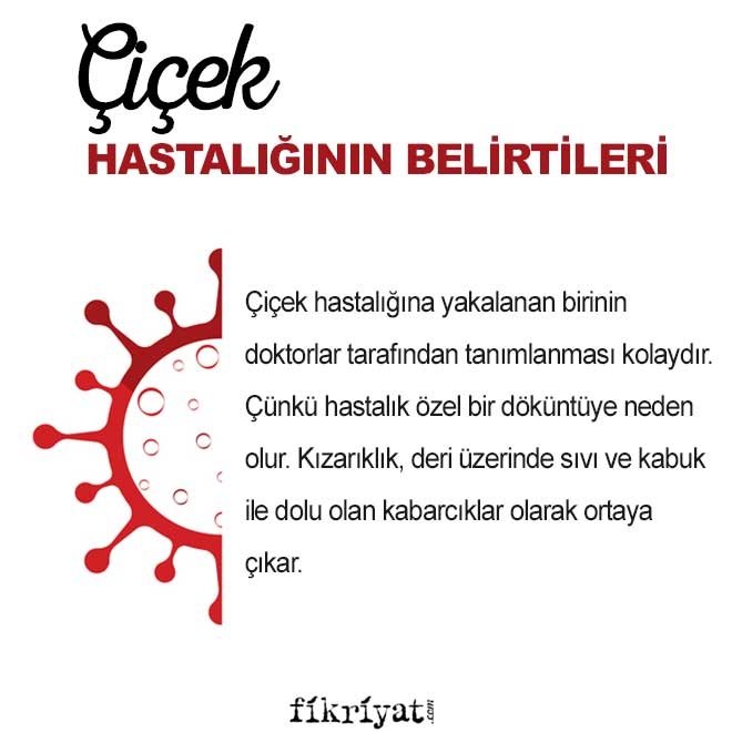 ÇİÇEK HASTALIĞININ BELİRTİLERİ