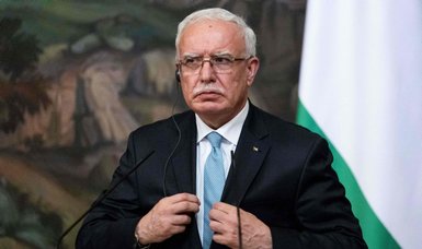 Palestinian FM accuses Israel of committing war crimes as urging pressure at UNSC
