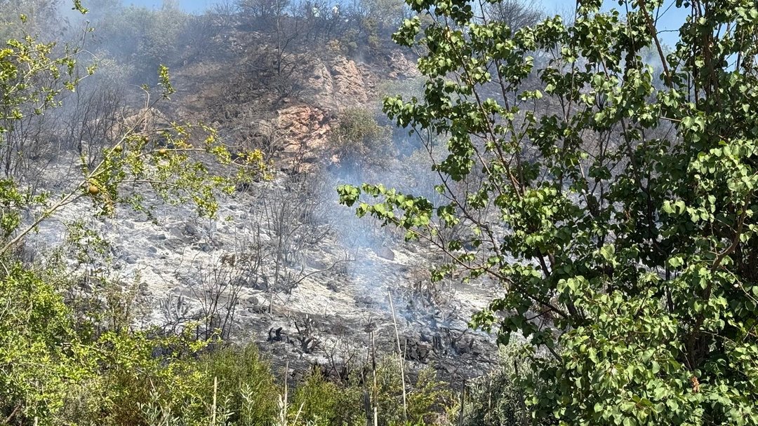 HATAY’DA ORMAN YANGINI