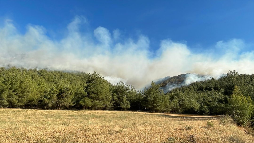 SAKARYA’DA ORMAN YANGINI