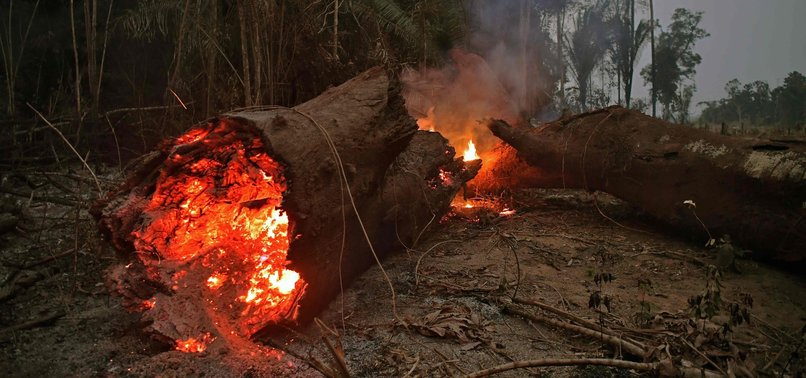 G7 AGREES TO RELEASE $20 MILLION IN EMERGENCY AID FOR AMAZON RAINFOREST FIRES