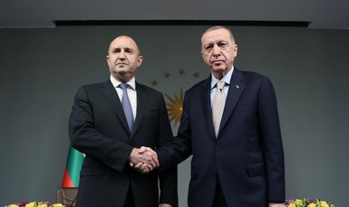 Türkiye emphasizes effective cooperation with Bulgaria to manage border security