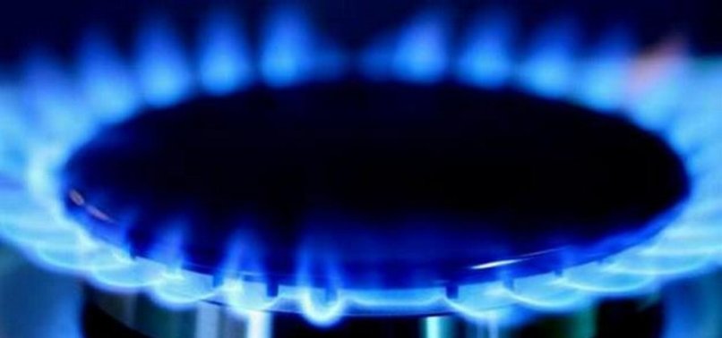 DENMARK, SWEDEN SIGN SOLIDARITY AGREEMENT ON GAS SUPPLY