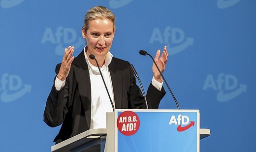 Far-right AfD keeps second place in polls despite scandals