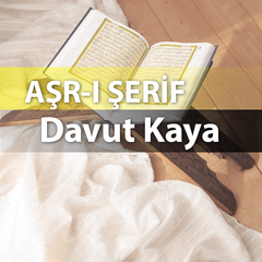 Davut Kaya