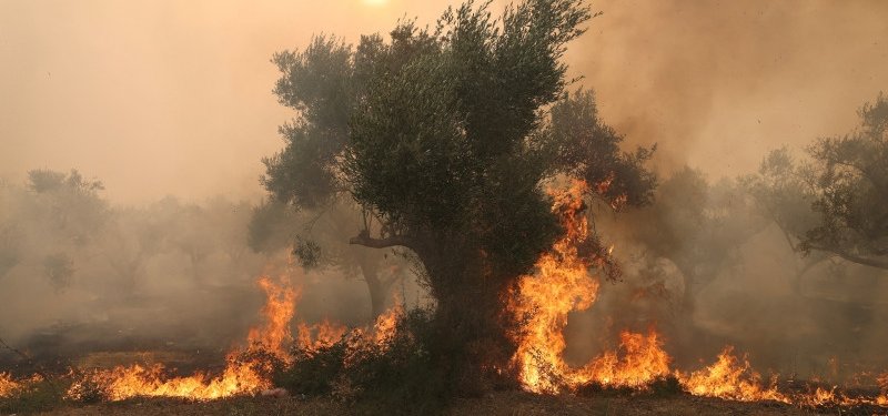 Türkiye offers Greece help to fight ongoing wildfires