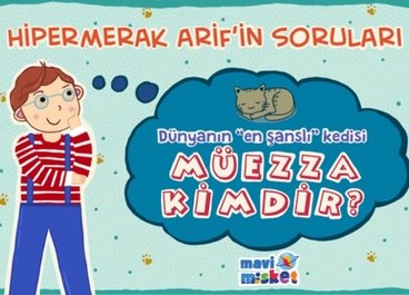 Hipermerak Arif'in Soruları❔