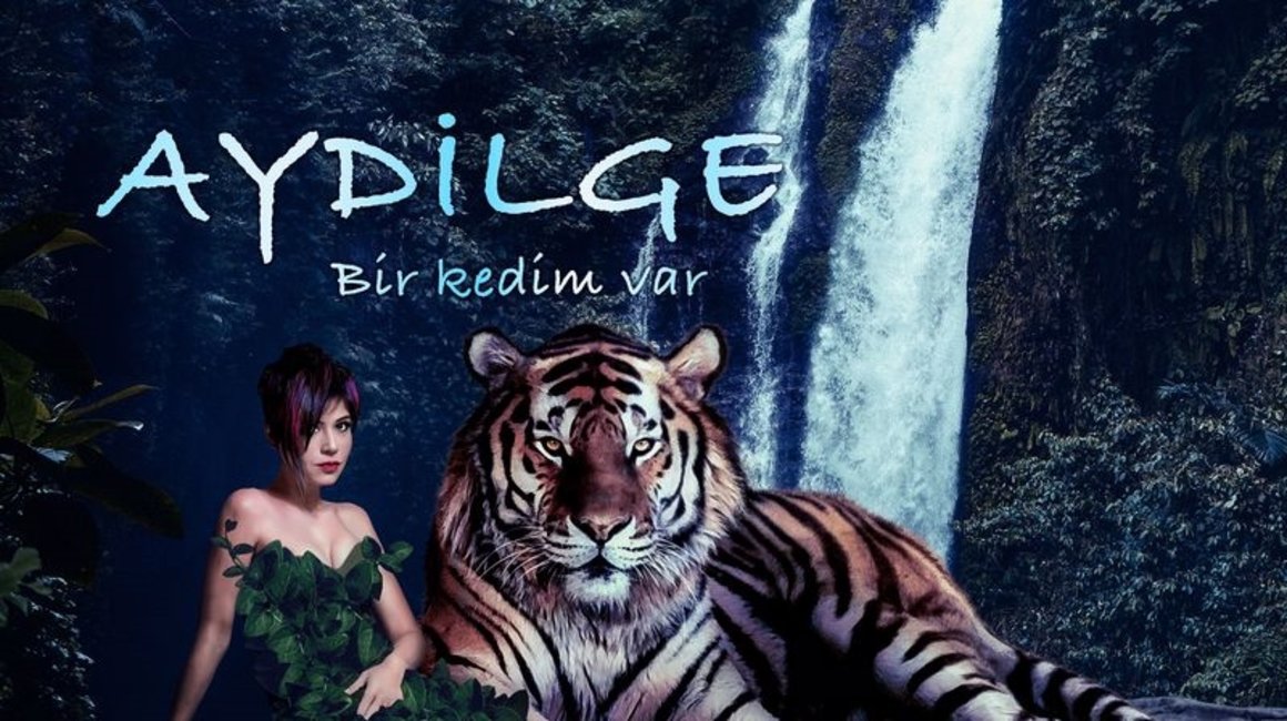 Aydilge Bir Kedim Var Turkuvaz Radyolar