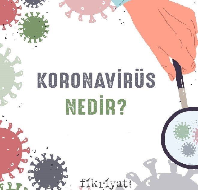 Koronavirüs nedir?
