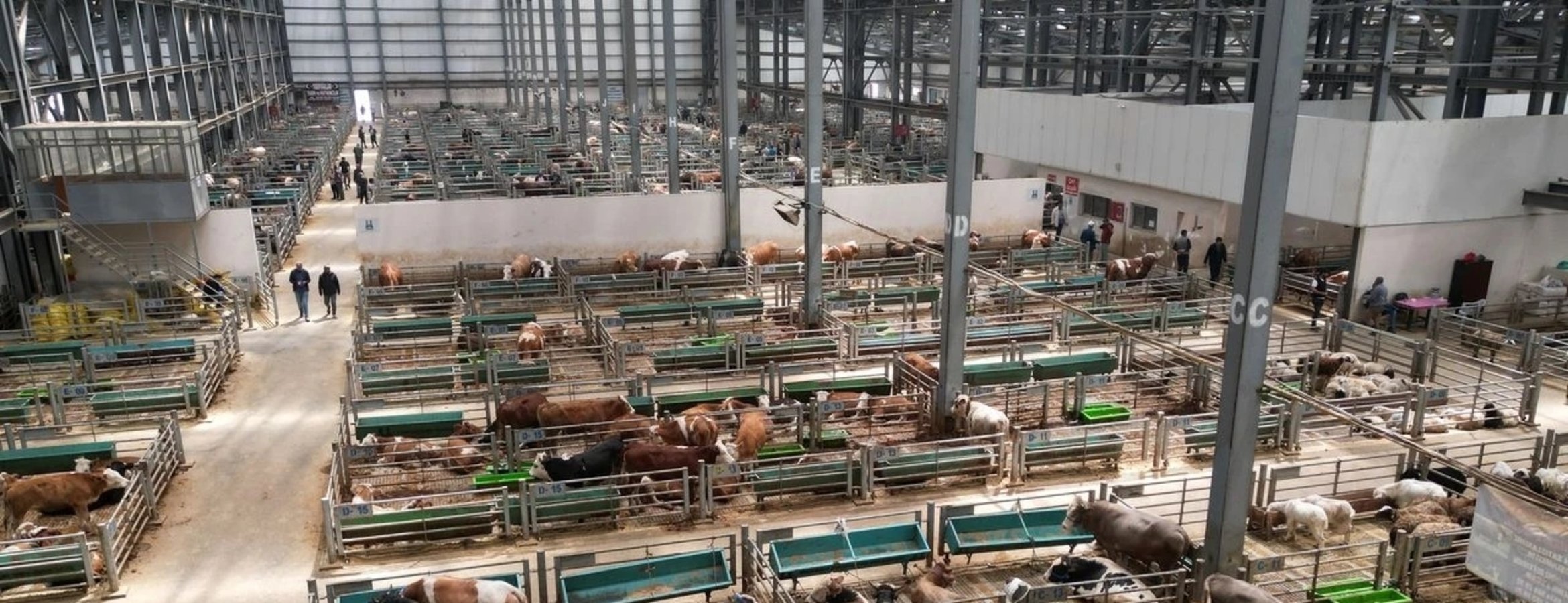 Doğu Anadolu Canlı Hayvan Borsası’nı 5 yılda 2 milyon kişi ziyaret etti