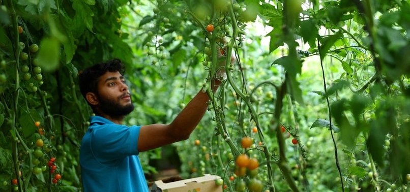 US, UAE CLIMATE-FRIENDLY FARMING FUND GROWS TO $13 BLN