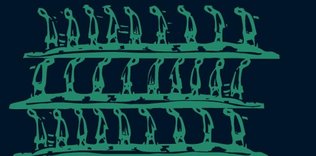 Şaşkın Kerteriz/Haziran 2017