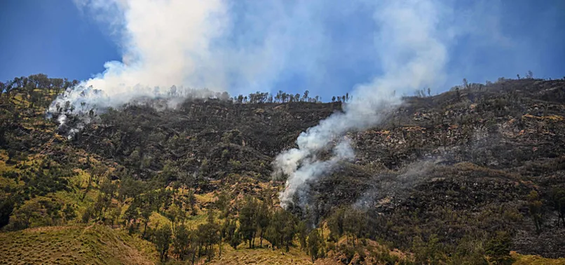 INDONESIA’S MOUNT BROMO WILDFIRE ENTERS 8TH DAY, BURNS 520 HECTARES