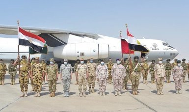 Egyptian air forces arrive in UAE for joint air exercise