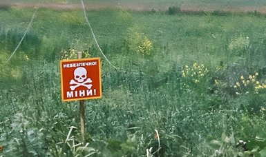 Landmines will hurt Ukraine for years, UN official warns