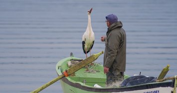 Stork and fisherman's friendship in Turkey's Bursa to be featured in movie