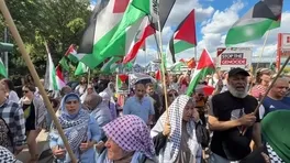 Almanya'da Protesto Dalgası