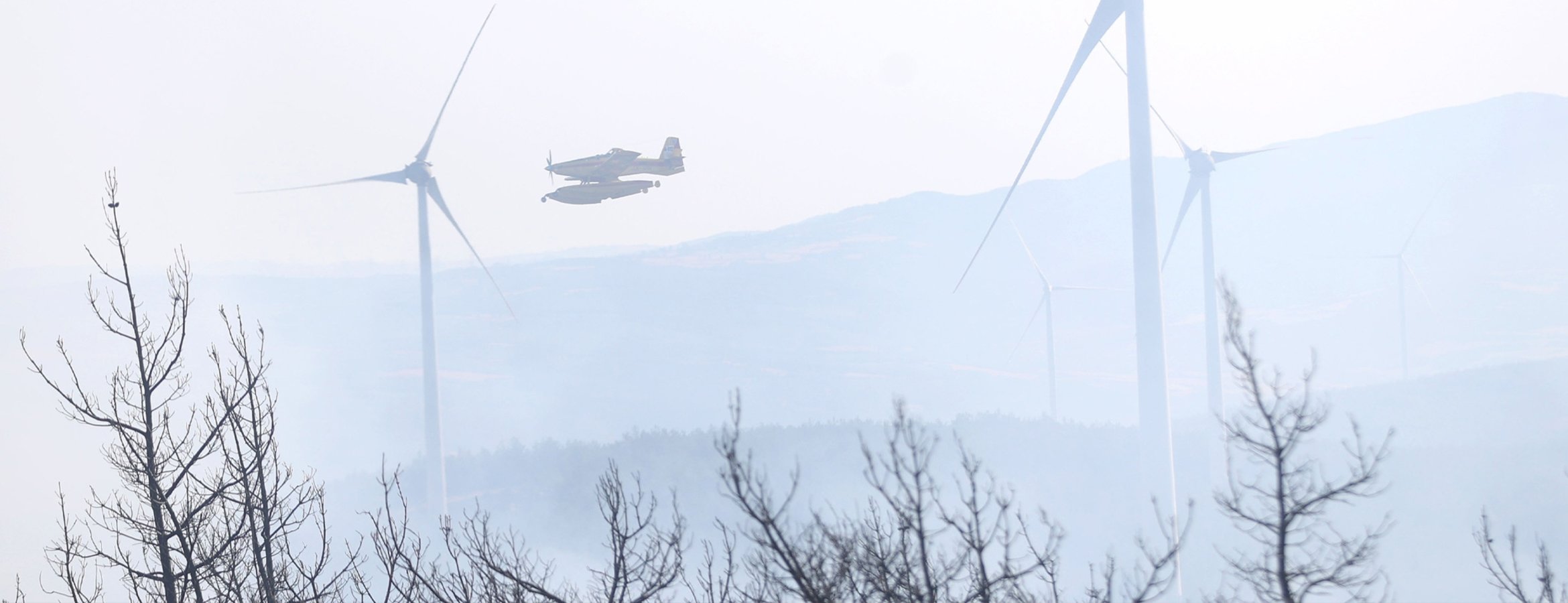 Tekirdağ’da orman yangınından etkilenen alanlar havadan görüntülendi