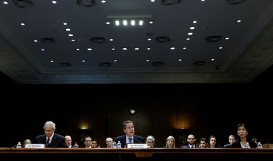 Top US regulators criticized in Senate for bank failures