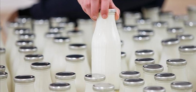TURKEY’S MILK PRODUCTION UP 13.2 PCT IN MAY